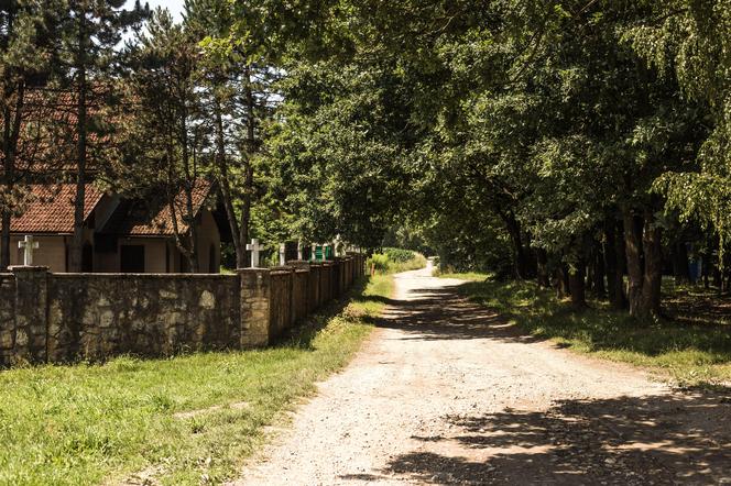 Ścieżka do leśniczówki w Woli