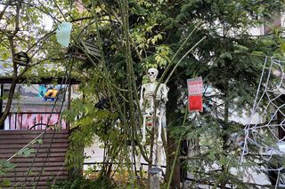 Najstraszniejsze łódzkie podwórko Wólczańska 7