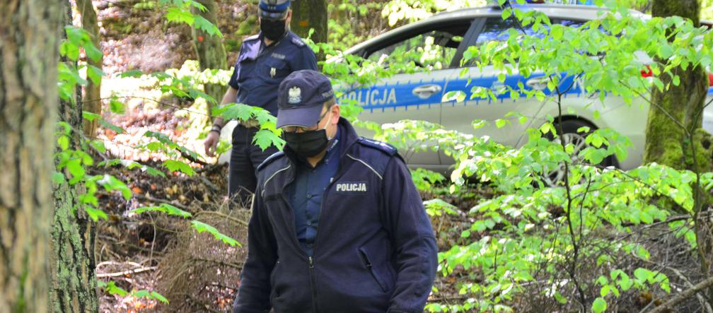 Poszukiwania Wacława Dzienisza