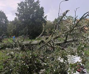 Burze przeszły przez województwo śląskie. Blisko 200 interwencji strażaków. Najwięcej w powiecie raciborskim