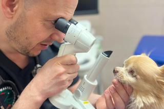 Mały Stefcio stracił oko