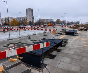 Pierwsze drzewa w parku nad obwodnicą na Ursynowie