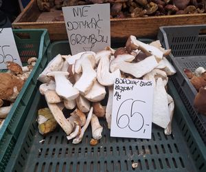 Ceny grzybów na Nowym i Starym Kleparzu w Krakowie