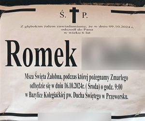 6-letni Romeczek zginął w wypadku w Przeworsku. Maskotki i znicze wyciskają łzy