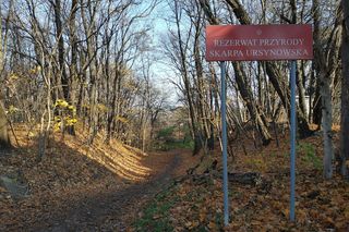 Zamykają rezerwat przyrody. To niezbędne wobec rosnącego ryzyka