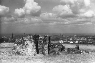 Panorama Krakowa 90 lat temu