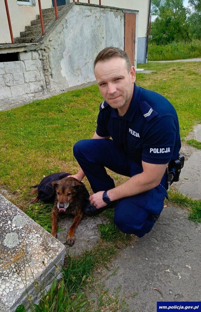 Bohaterska postawa policjanta. Z narażeniem własnego życia uratował psa