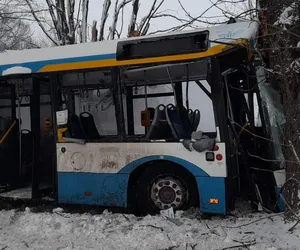 Czechowice-Dziedzice. Autobus uderzył w drzewo