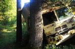 Amerykańska ciężarówka - zderzenie z drzewem 