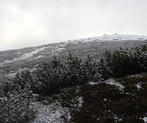 Pierwszy śnieg na Dolnym Śląsku. W górach aż biało [ZDJĘCIA]