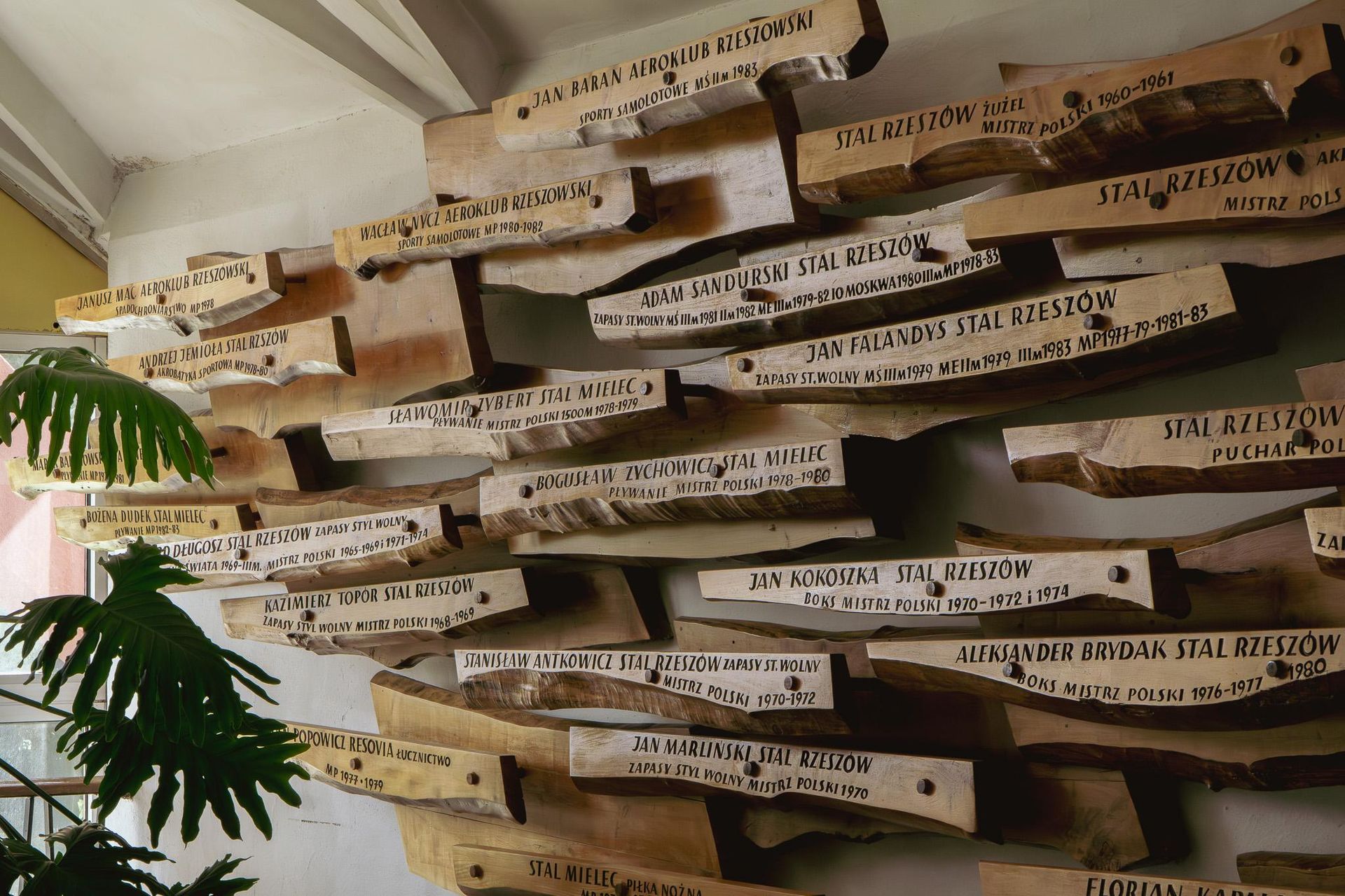 Hala ROSiR w Rzeszowie