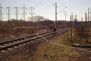 W Czechach zderzyły się w Niedzielę Wielkanocną dwa pociągi towarowe