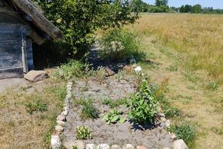 Mniej znana atrakcja z woj. lubelskiego. Zobacz zdjęcia z grodziska w pow. opolskim