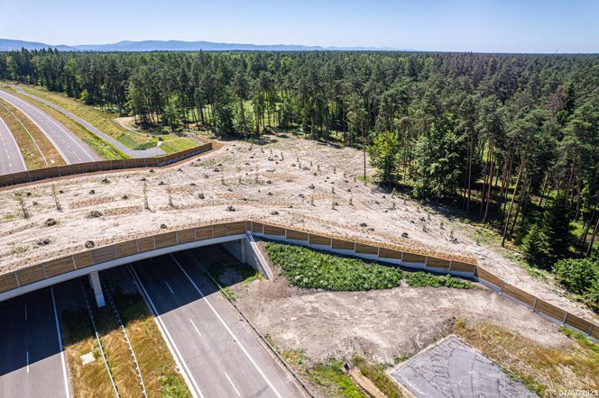 S1 Oświęcim - Dankowice jest gotowa, ale GDDKiA zastanawia się, kiedy ją otworzyć