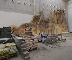 Budowa sztucznej ściany we wrocławskim Afrykarium 