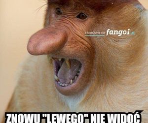 Memy po meczu Polska-Holandia