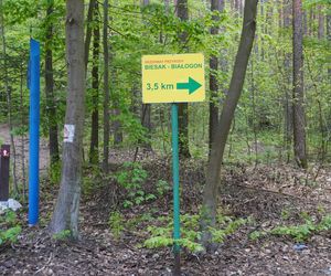 Góra Pierścienica w Kielcach i okolice