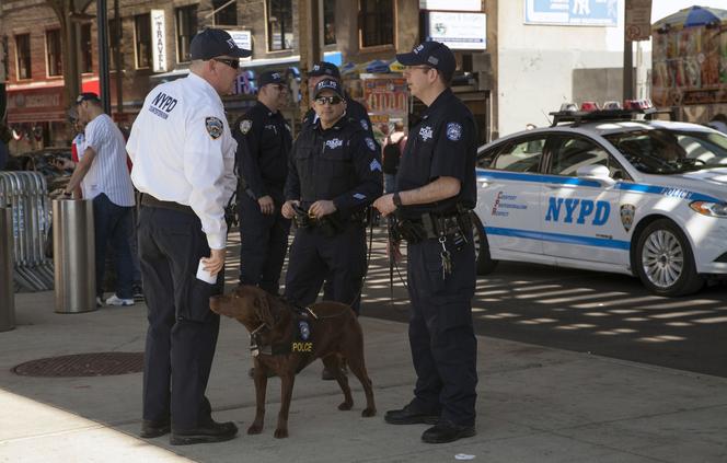 NYPD bez prawa do pogaduszek