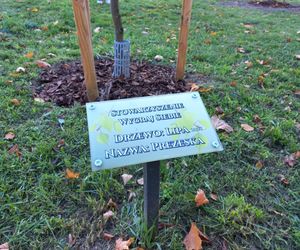 Danusia, Halinka, Linkus, Seniorita i Stasiu zapuszczają korzenie. Nowe nasadzenia w Lesznie