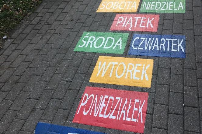 Czy w Poznaniu powstaną podobne projekty? 