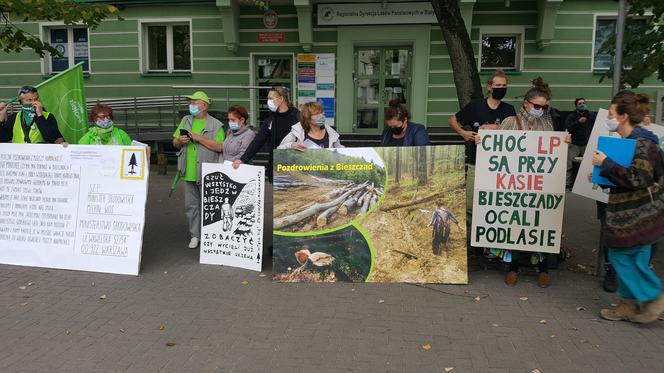 Nie oddamy Bieszczad Piłom. Protestowali przeciwko wycince drzew w Bieszczadach [WIDEO]