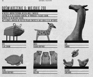 Przewodnik po architekturze codziennej