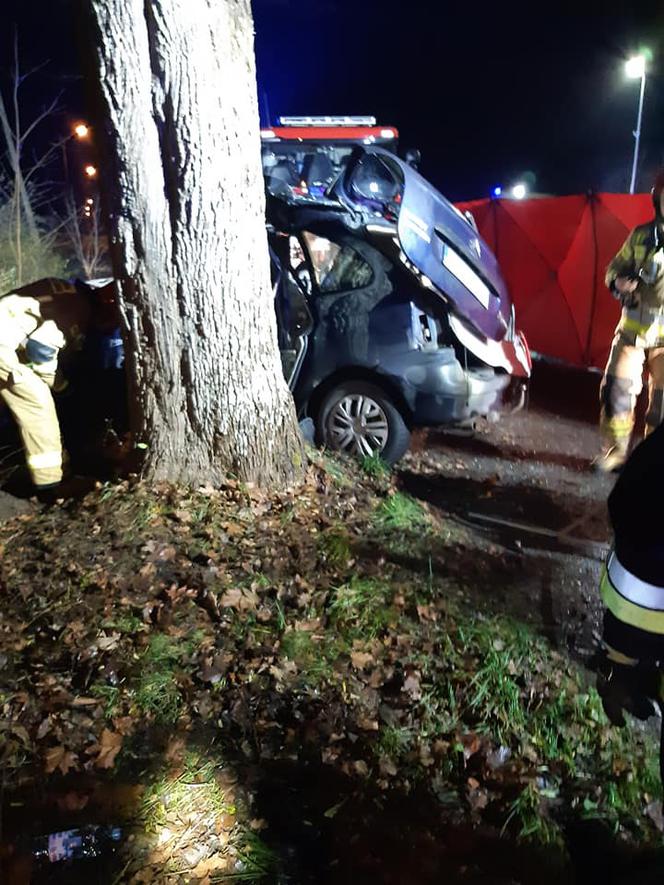 Wiklino: Tragiczna śmierć kobiety w wypadku. Jej auto wbiło się w drzewo [ZDJĘCIA]