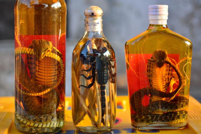 Najdziwniejsze alkohole  na świecie - wypilibyście whisky z moczu lub wino z mewy? 