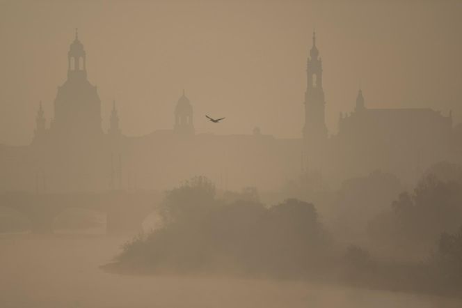 Dziwna mgła krąży po świecie? Teorie konspiracyjne w sieci