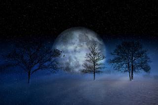 Na niebie pojawi się Śnieżny Księżyc. Gdzie na Śląsku oglądać to niezwykłe zjawisko?