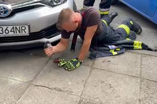 Portowa Straż Pożarna uratowała uwięzionego kotka. Był wielkości dłoni