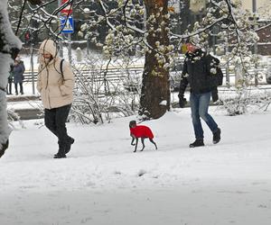 Śnieżny Szczecin 