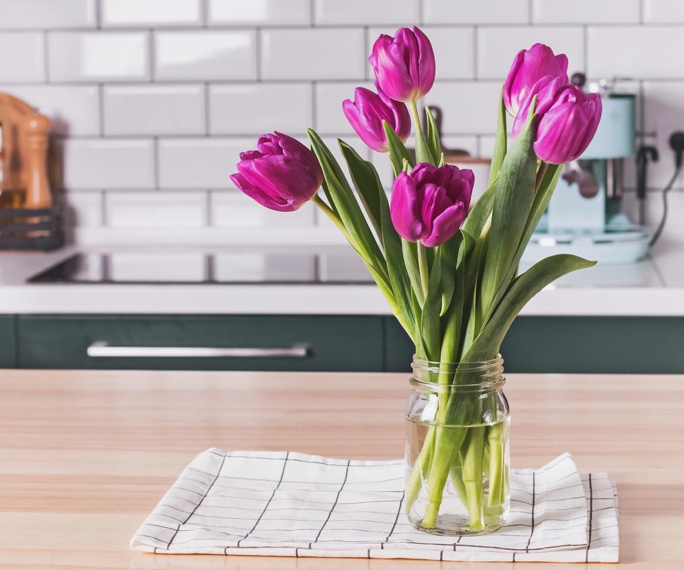 tulipany