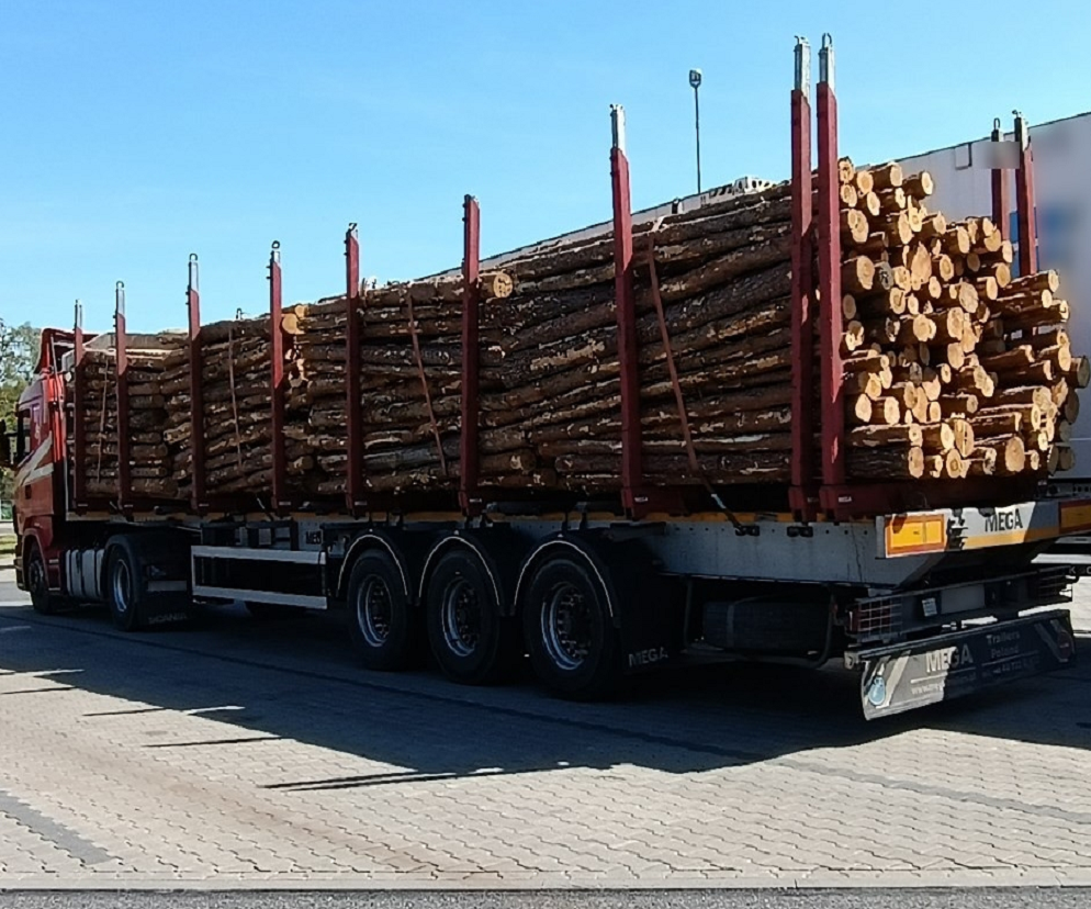 ciężarówka z drewnem