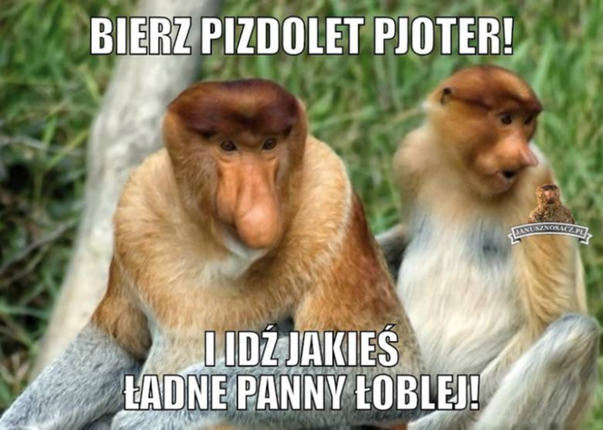 Śmigus-dyngus 2022. Zobacz najlepsze MEMY na LANY PONIEDZIAŁEK! [GALERIA]