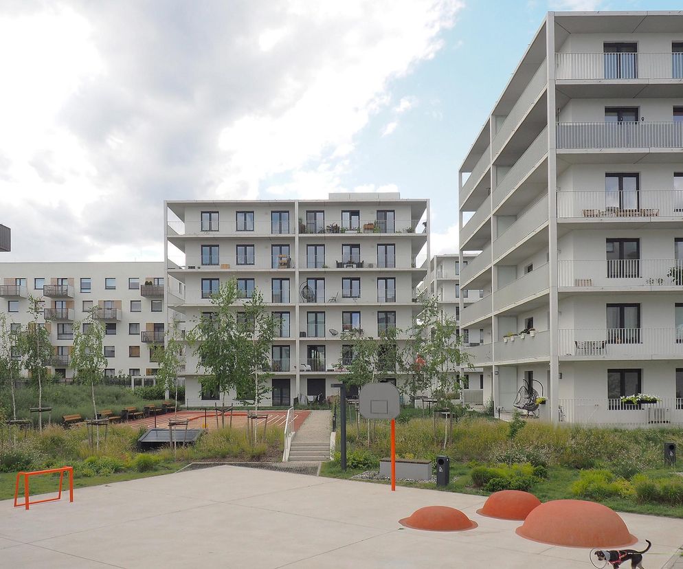 Zespół trzech białych punktowców z balkonami i dużymi oknami, otoczony zielenią i placem zabaw. W centrum ujęcia znajduje się boisko z pomarańczową bramką, koszem do koszykówki i elementami do siedzenia. Całość tworzy przyjazną przestrzeń mieszkalną, o której możesz przeczytać na Architektura Murator Plus.