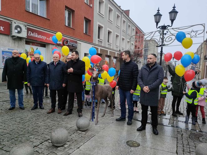 Jelonek stanął przy fontannie na ul. Długiej! Nowa atrakcja turystyczna Łomży poleca się do robienia zdjęć