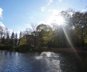 Park Wilsona jesienią