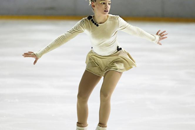 Łyżwiarstwo figurowe