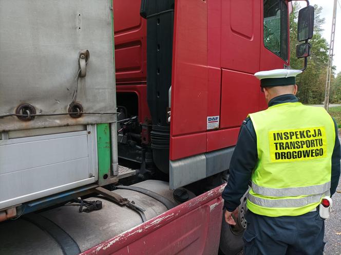 Samborowo: Kontrole iławskiego oddziału Inspekcji Transportu Drogowego