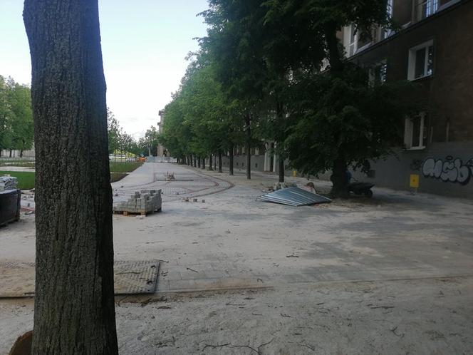 Kraków. Aleja Róż wkrótce w pełni zakwitnie! Prace remontowe są na finiszu