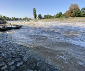 Jaz Szczytnicki we Wrocławiu coraz bardziej wypełniony. Do Wrocławia zbliża się fala ZDJĘCIA