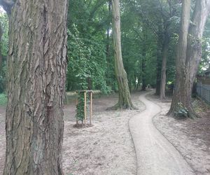 Park im. Szafera w Rzeszowie 