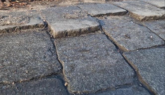 Dziury i zapadająca się kostka na ul. Gajowickiej we Wrocławiu. 5 lat temu Jacek Sutryk obiecywał remont