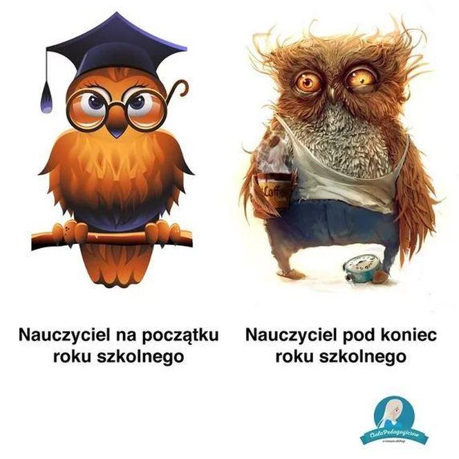 Zakończenie roku szkolnego - memy