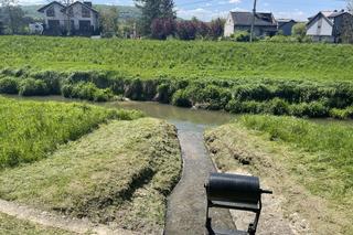 Najdłuższy park w Polsce jest w Krakowie. Ledwo widać go na mapach, a jest pełen atrakcji