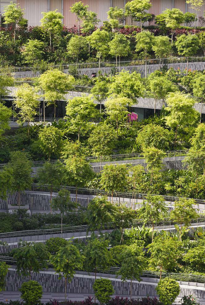 Oasis Terraces w Singapurze_Serie Architects_19