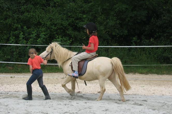 Jeździć konno nauczy się ponad 200 dzieci