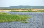 Jezioro 