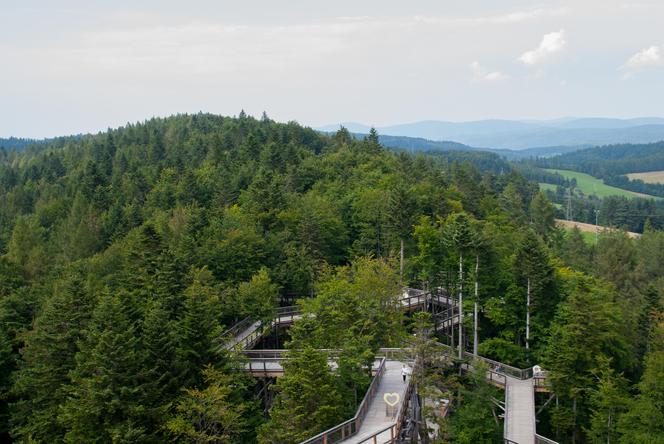 Krynica-Zdrój - zwiedzanie i atrakcje. Co tu zobaczyć i ile to kosztuje?